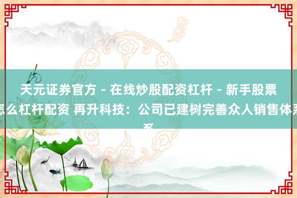 天元证券官方 - 在线炒股配资杠杆 - 新手股票怎么杠杆配资 再升科技：公司已建树完善众人销售体系