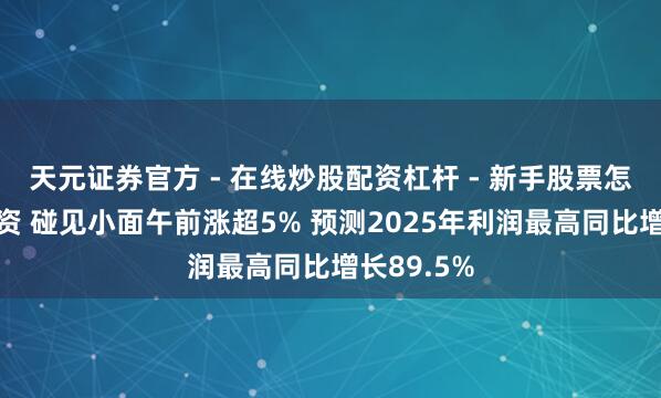 天元证券官方 - 在线炒股配资杠杆 - 新手股票怎么杠杆配资 碰见小面午前涨超5% 预测2025年利润最高同比增长89.5%