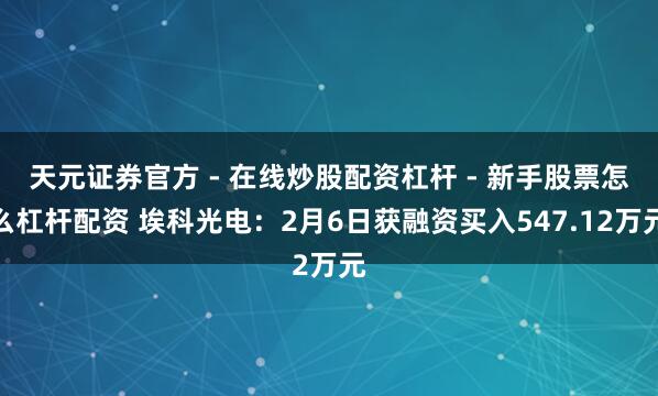 天元证券官方 - 在线炒股配资杠杆 - 新手股票怎么杠杆配资 埃科光电：2月6日获融资买入547.12万元