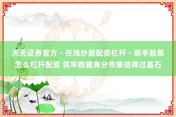 天元证券官方 - 在线炒股配资杠杆 - 新手股票怎么杠杆配资 筑牢数据身分市集信得过基石
