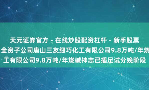 天元证券官方 - 在线炒股配资杠杆 - 新手股票怎么杠杆配资 三友化工：全资子公司唐山三友细巧化工有限公司9.8万吨/年烧碱神志已插足试分娩阶段