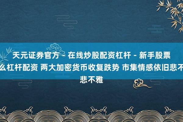 天元证券官方 - 在线炒股配资杠杆 - 新手股票怎么杠杆配资 两大加密货币收复跌势 市集情感依旧悲不雅