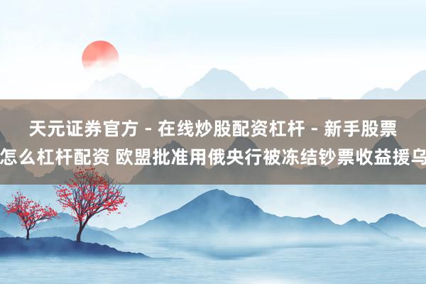天元证券官方 - 在线炒股配资杠杆 - 新手股票怎么杠杆配资 欧盟批准用俄央行被冻结钞票收益援乌
